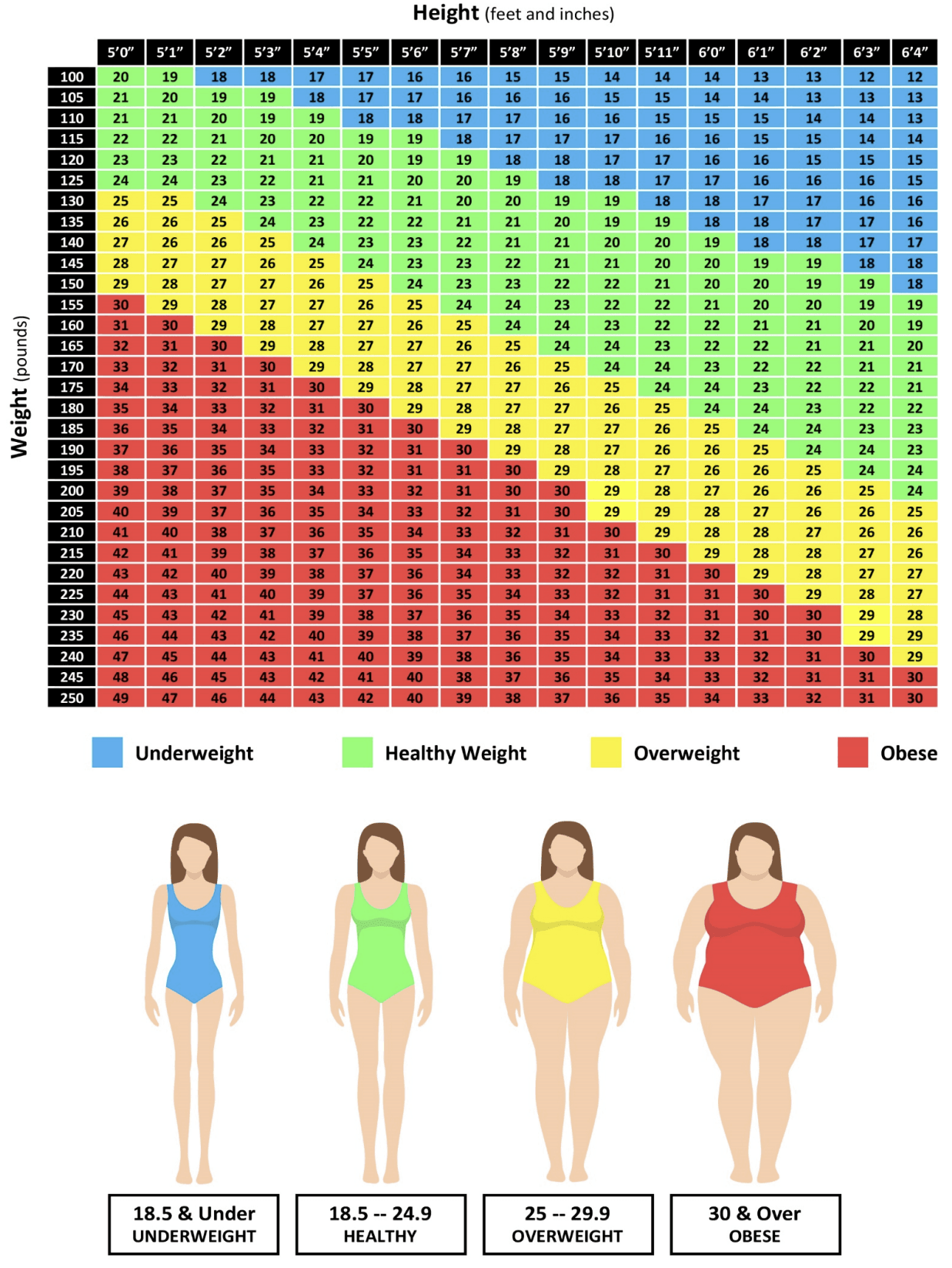 Body Mass Index Chart