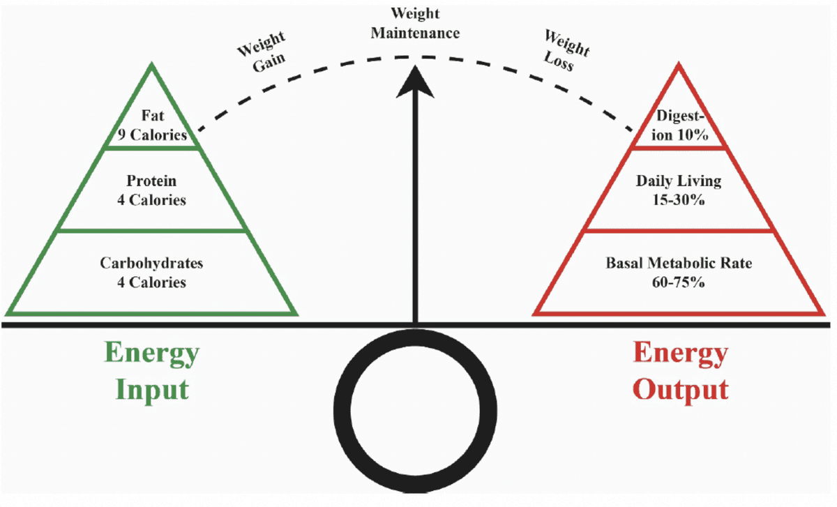 Energy Balance Equation
