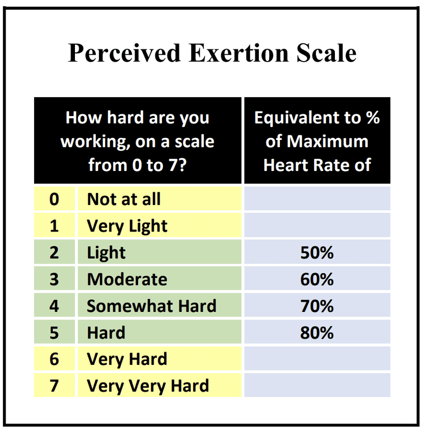 Perceived Exertion Scale